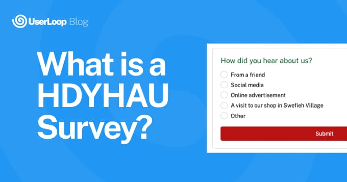 HDYHAU Survey: Meaning, Questions & Examples