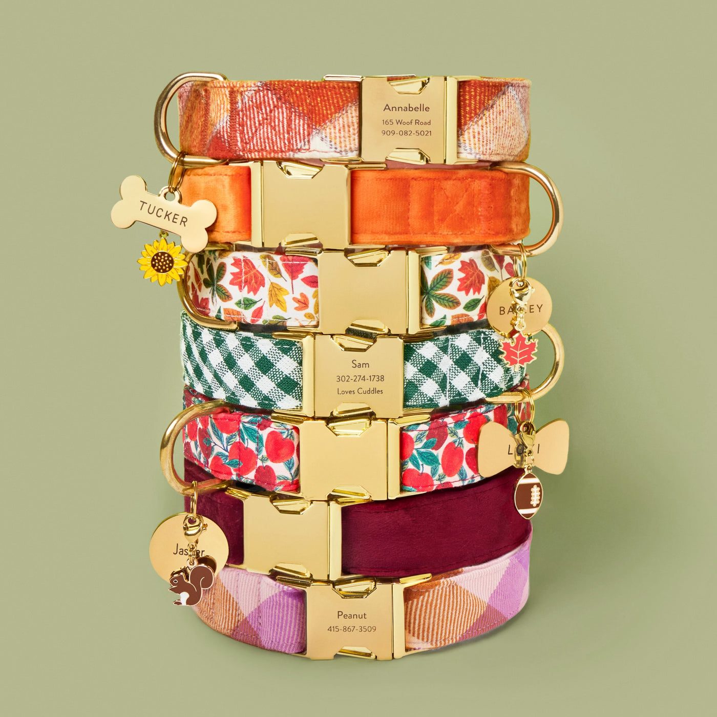 A stack of The Foggy Dog collars with engraved gold nameplates